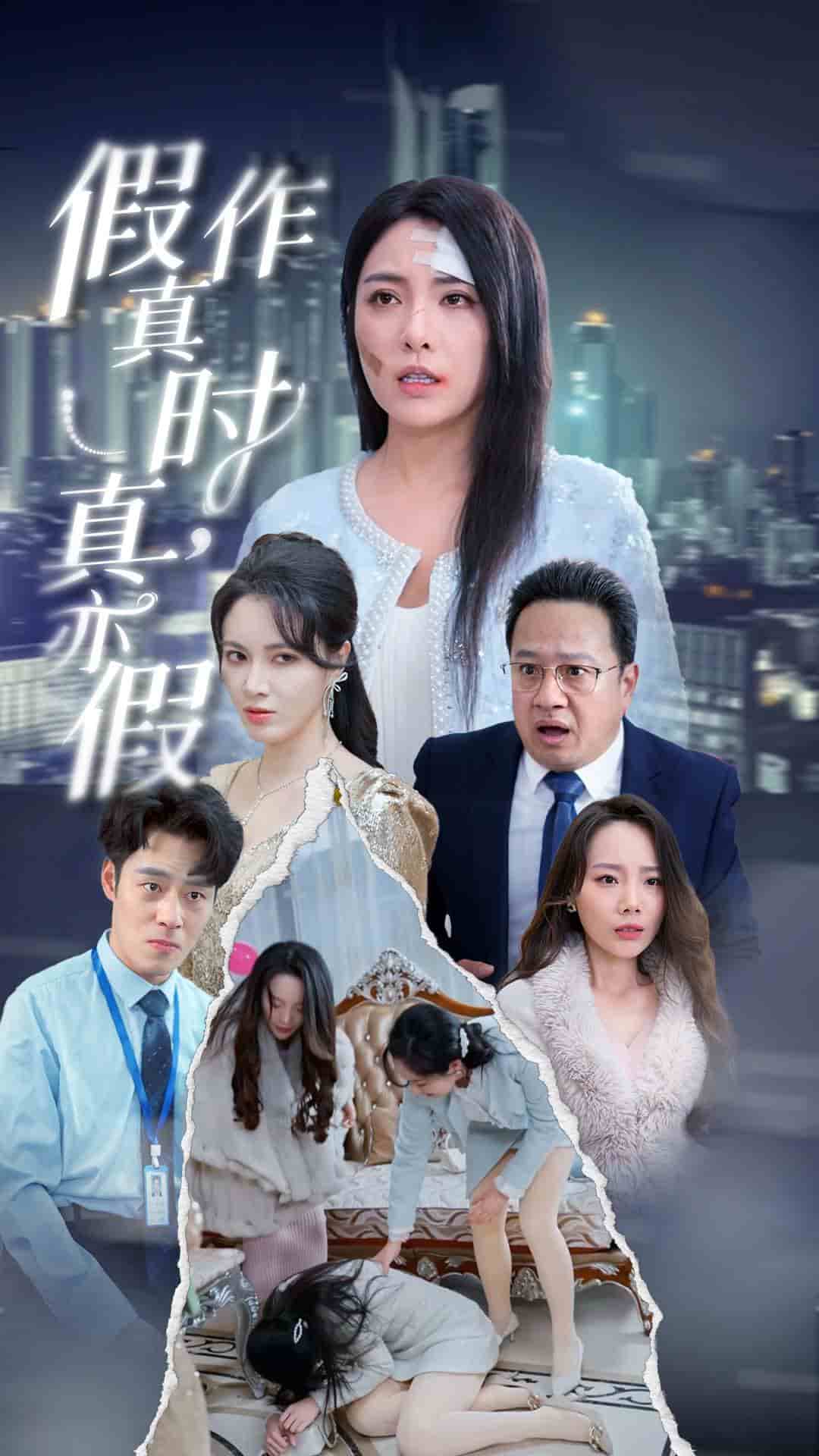 假作真时真亦假海报图