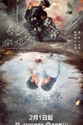 白色橄榄树封面图