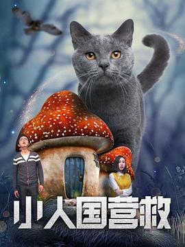 小人国营救海报图