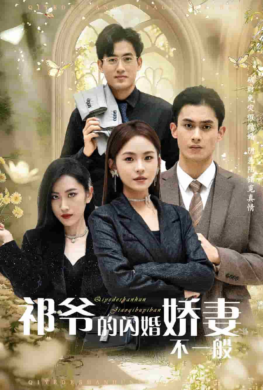 祁爷的闪婚娇妻不一般海报图