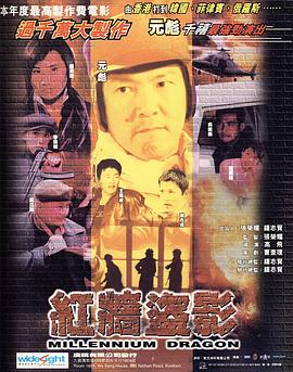 红墙盗影封面图