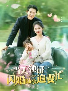 当天领证闪婚陆少追妻忙海报图