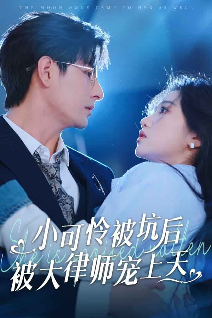 小可怜被坑后被大律师宠上天海报图