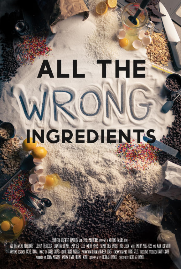 All The Wrong Ingredients海报图
