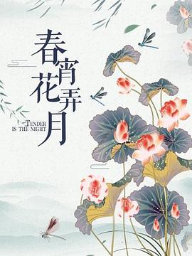 春宵花弄月封面图