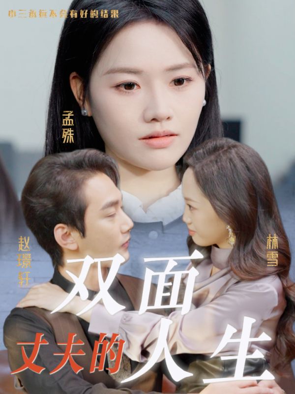 丈夫的双面人生海报图