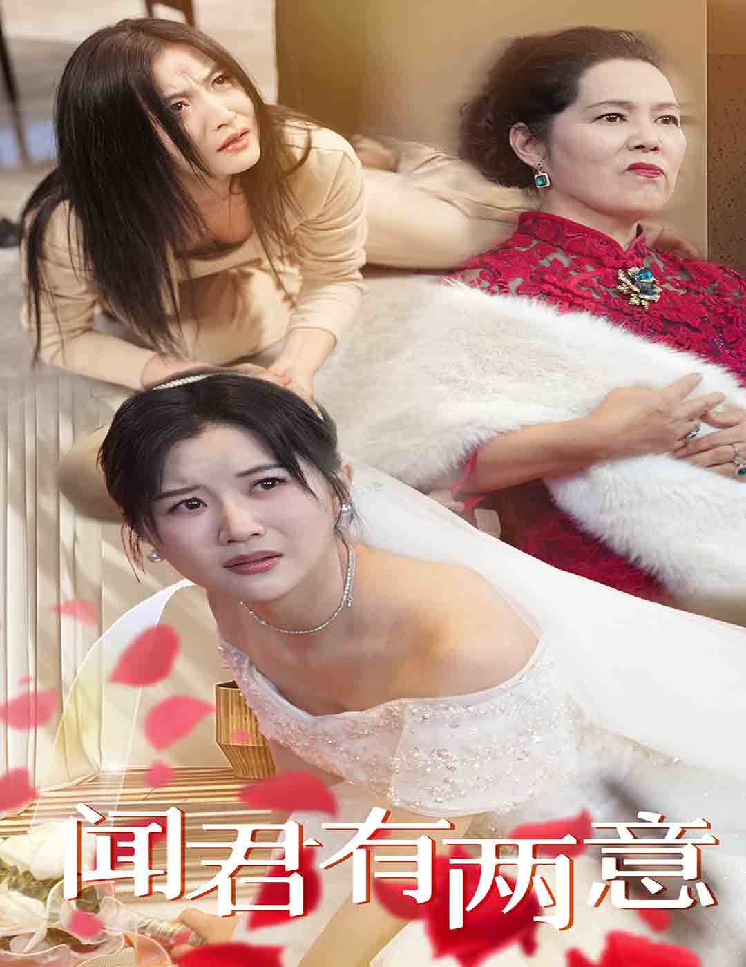 闻君有两意海报图