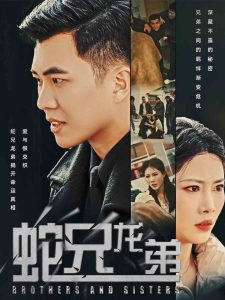 蛇兄龙弟短剧海报图