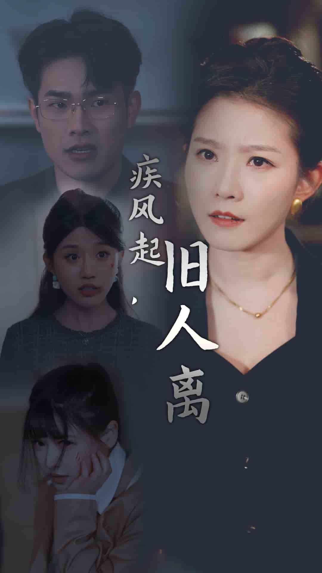 疾风起旧人离海报图