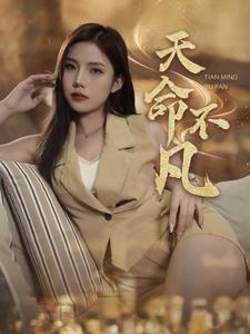 天命不凡海报图