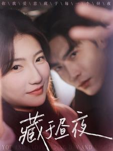 藏于昼夜海报图