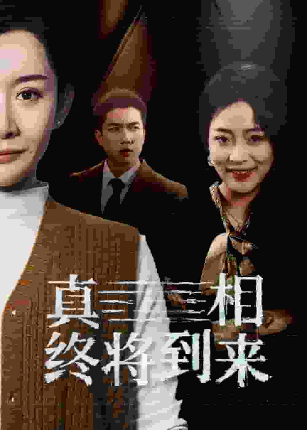 真相终将到来海报图