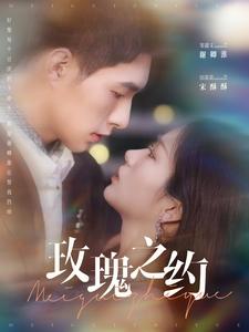 玫瑰之约海报图