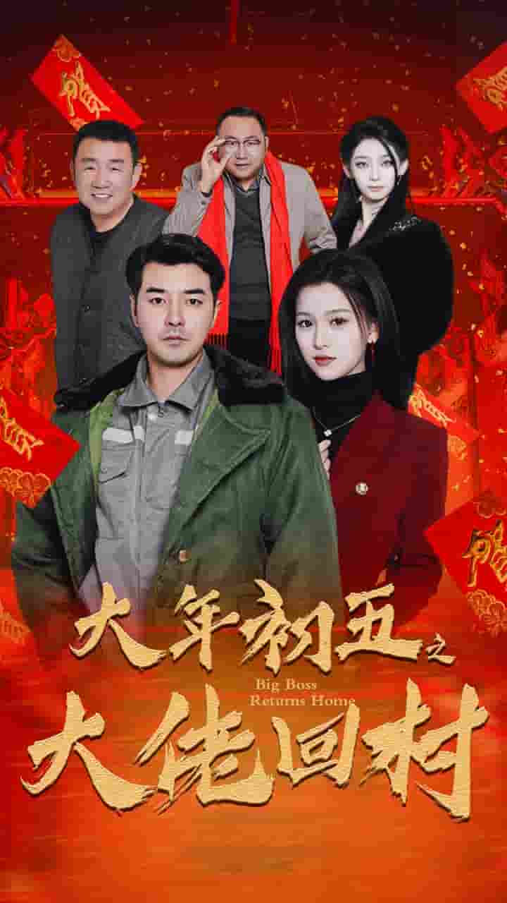 蛇年大吉之大佬回村海报图