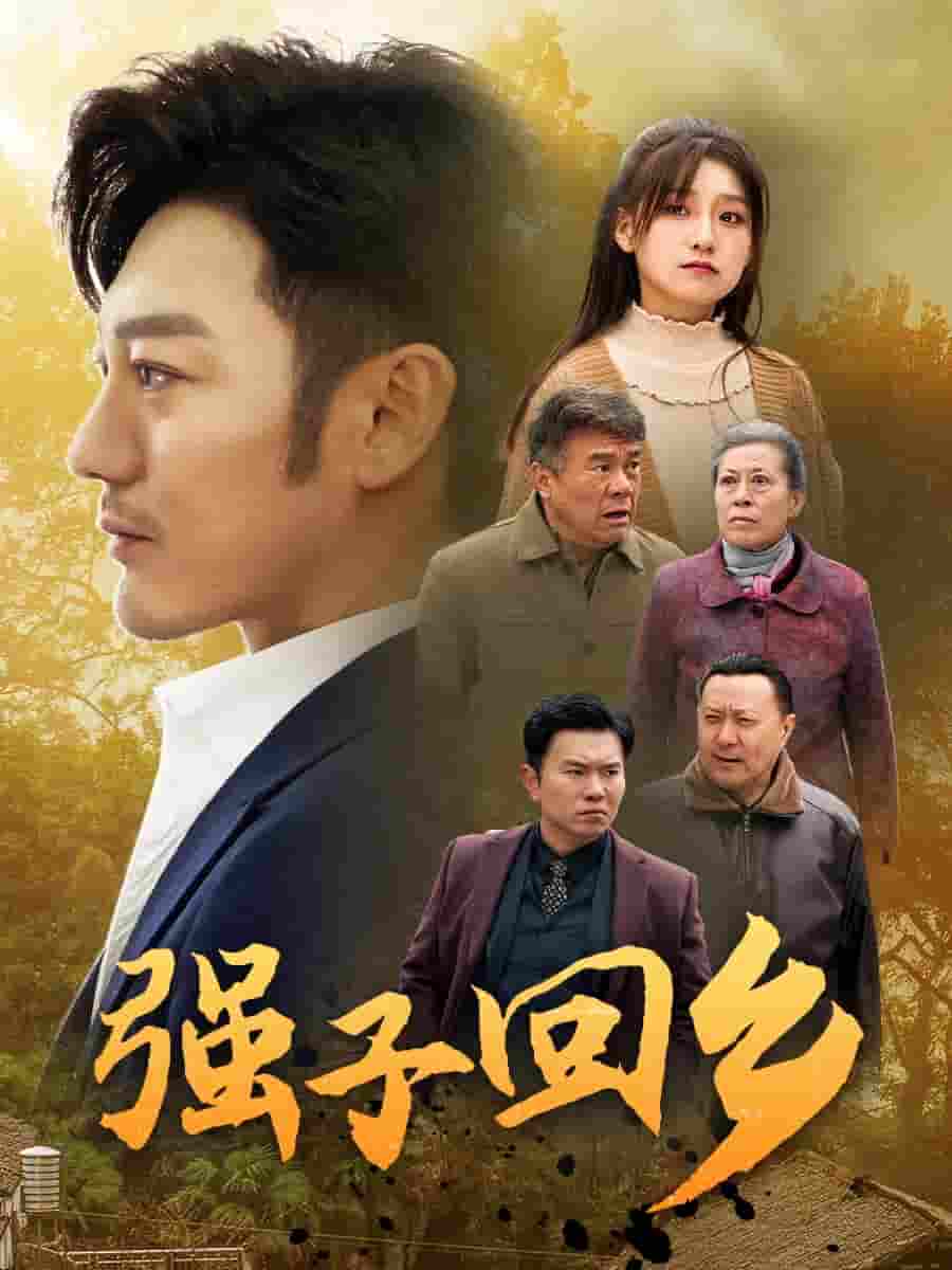 强子回乡海报图