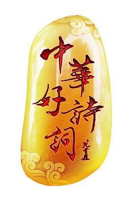 中华好诗词特别节目《诗词王中王》封面图