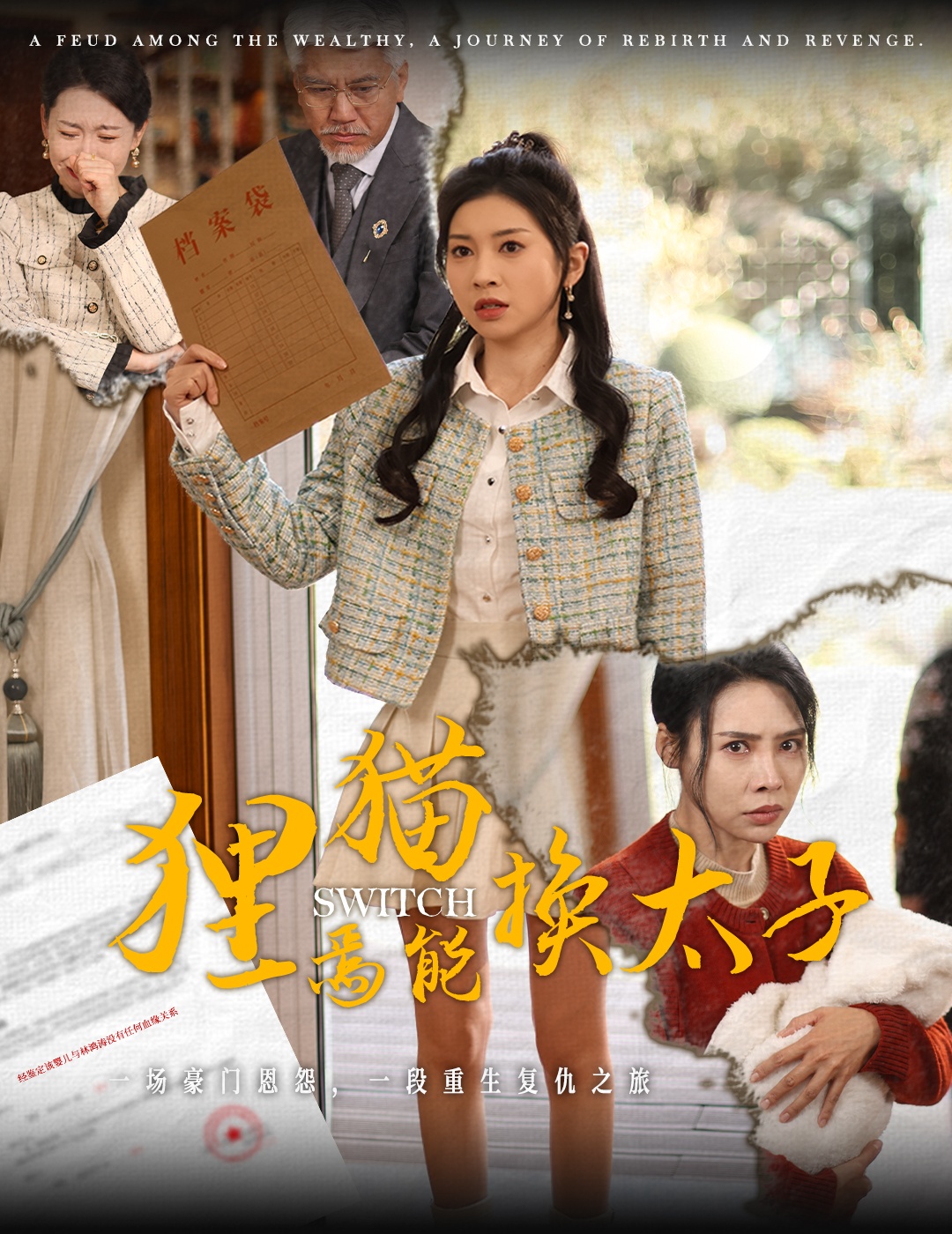 狸猫焉能换太子海报图