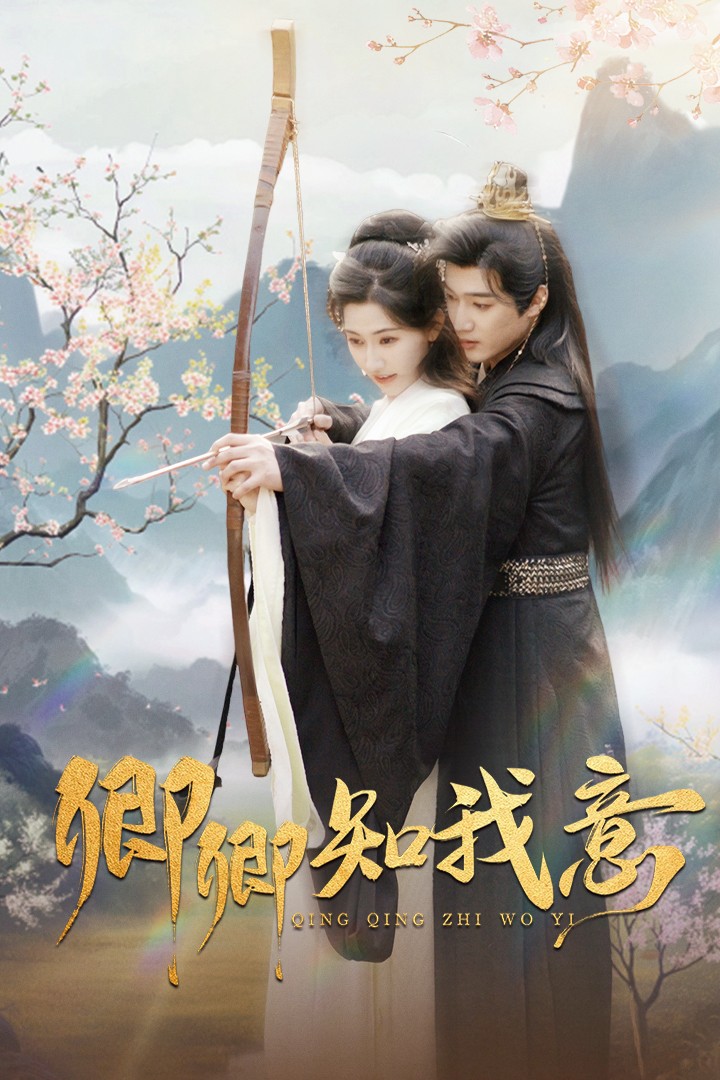 卿卿知我意海报图