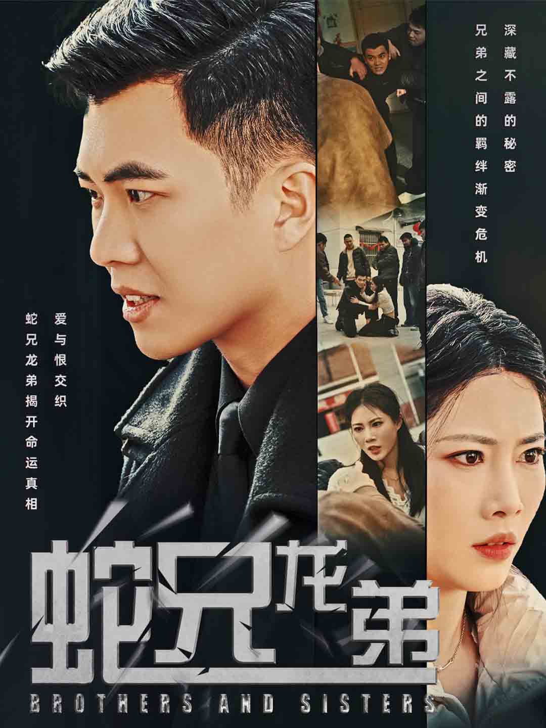蛇兄龙弟海报图