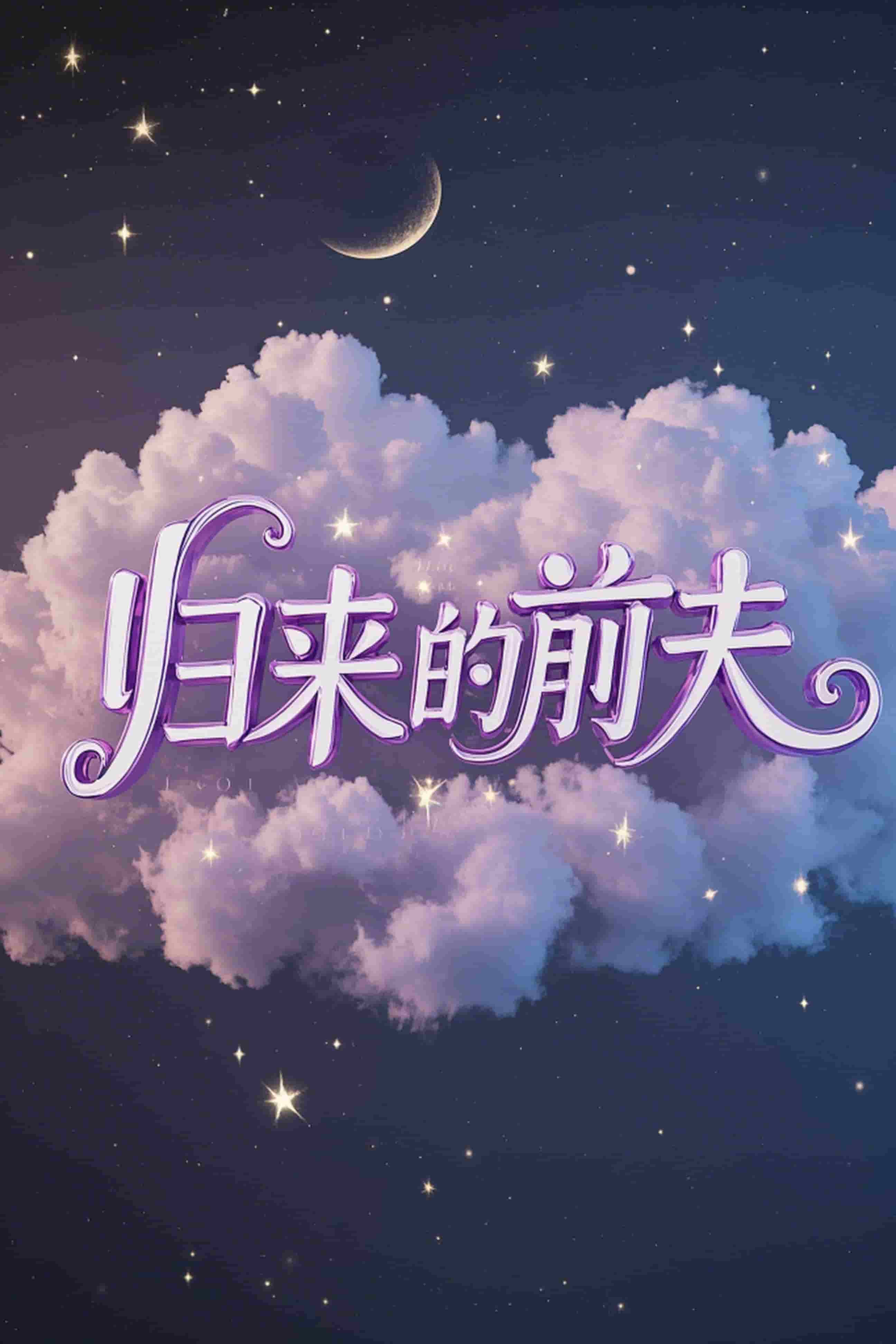归来的前夫海报图