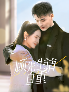 顾先生请自重海报图