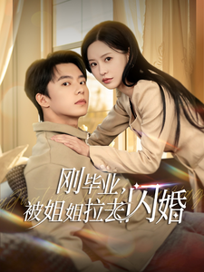 刚毕业被姐姐拉去闪婚海报图