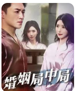 婚姻局中局海报图