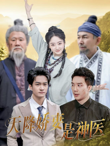 天降娇妻是神医海报图