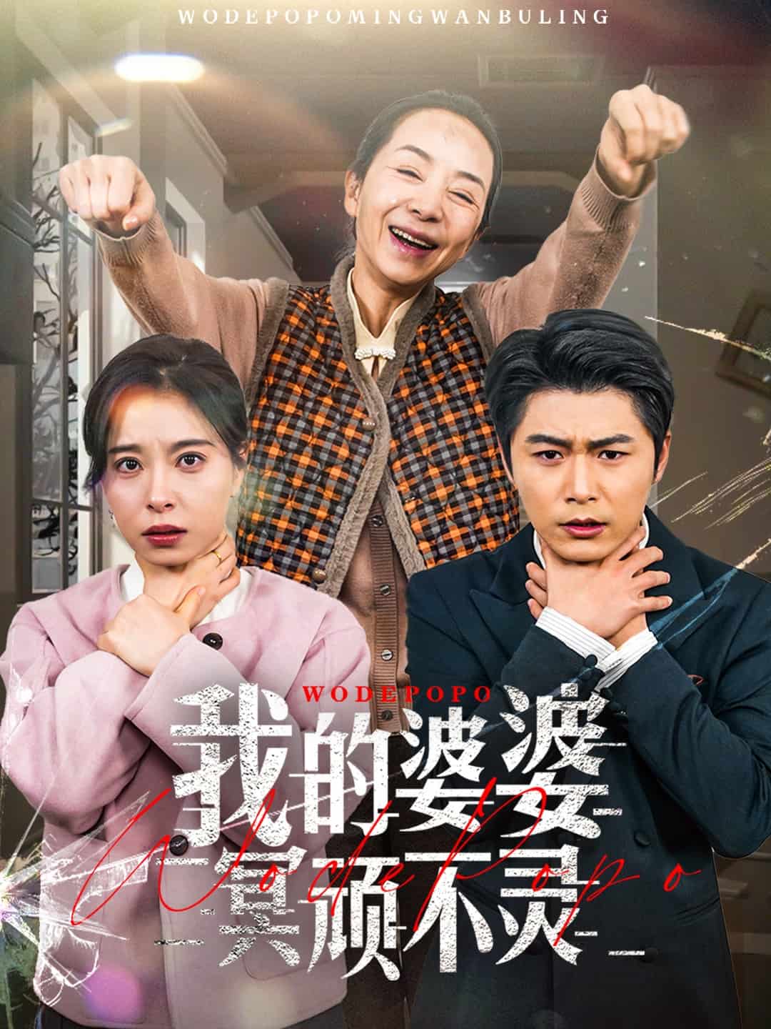 好心婆婆之事与愿违海报图