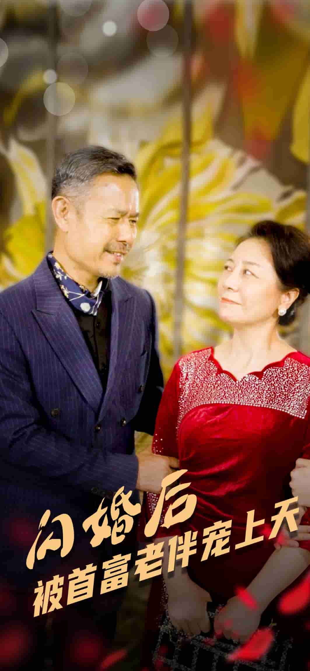 闪婚后被首富老伴宠上天海报图