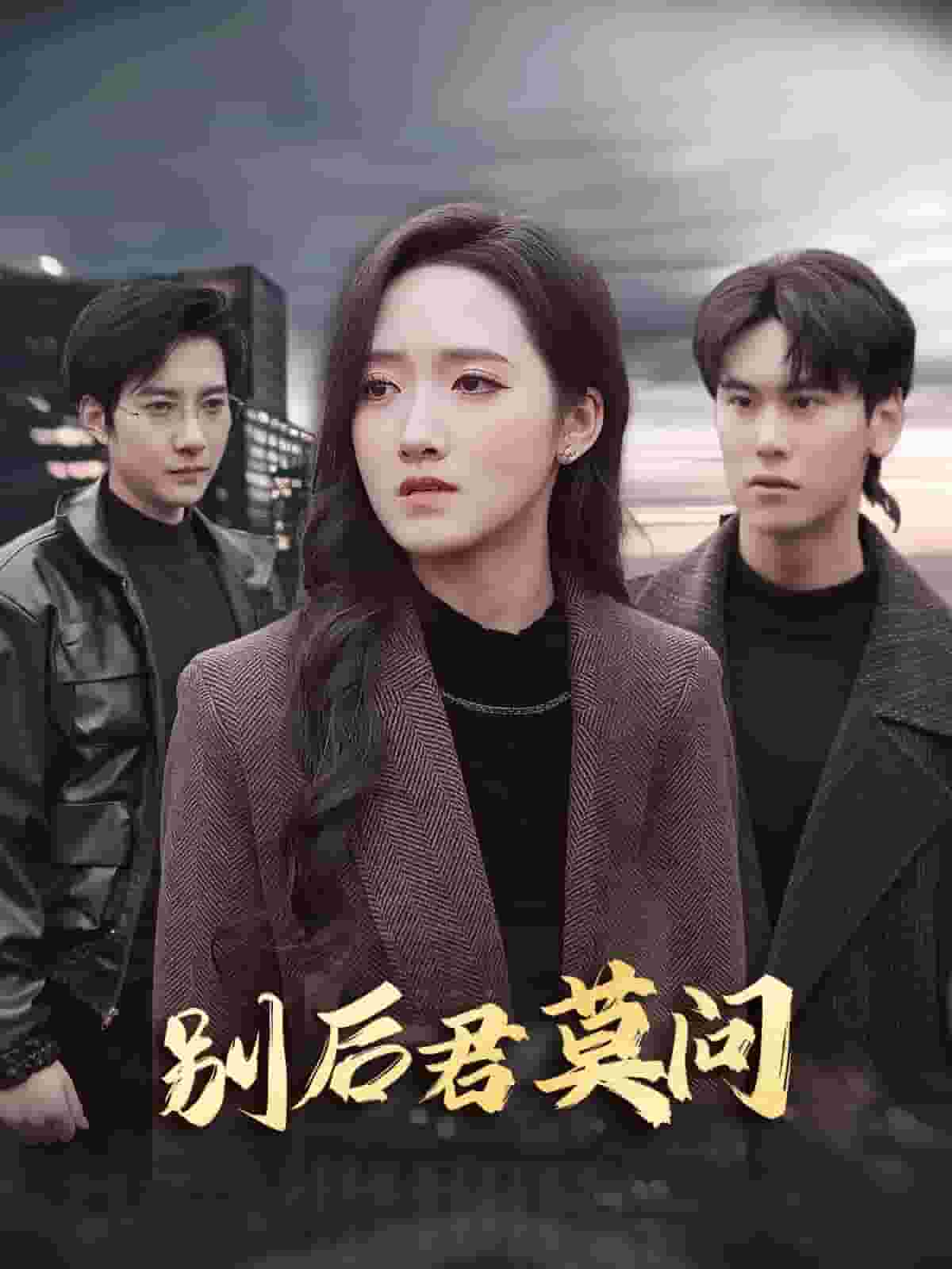 别后悠悠君莫问海报图