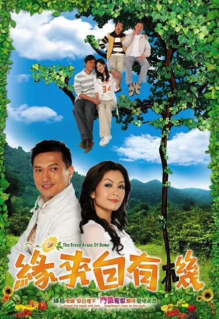 缘来自有机封面图