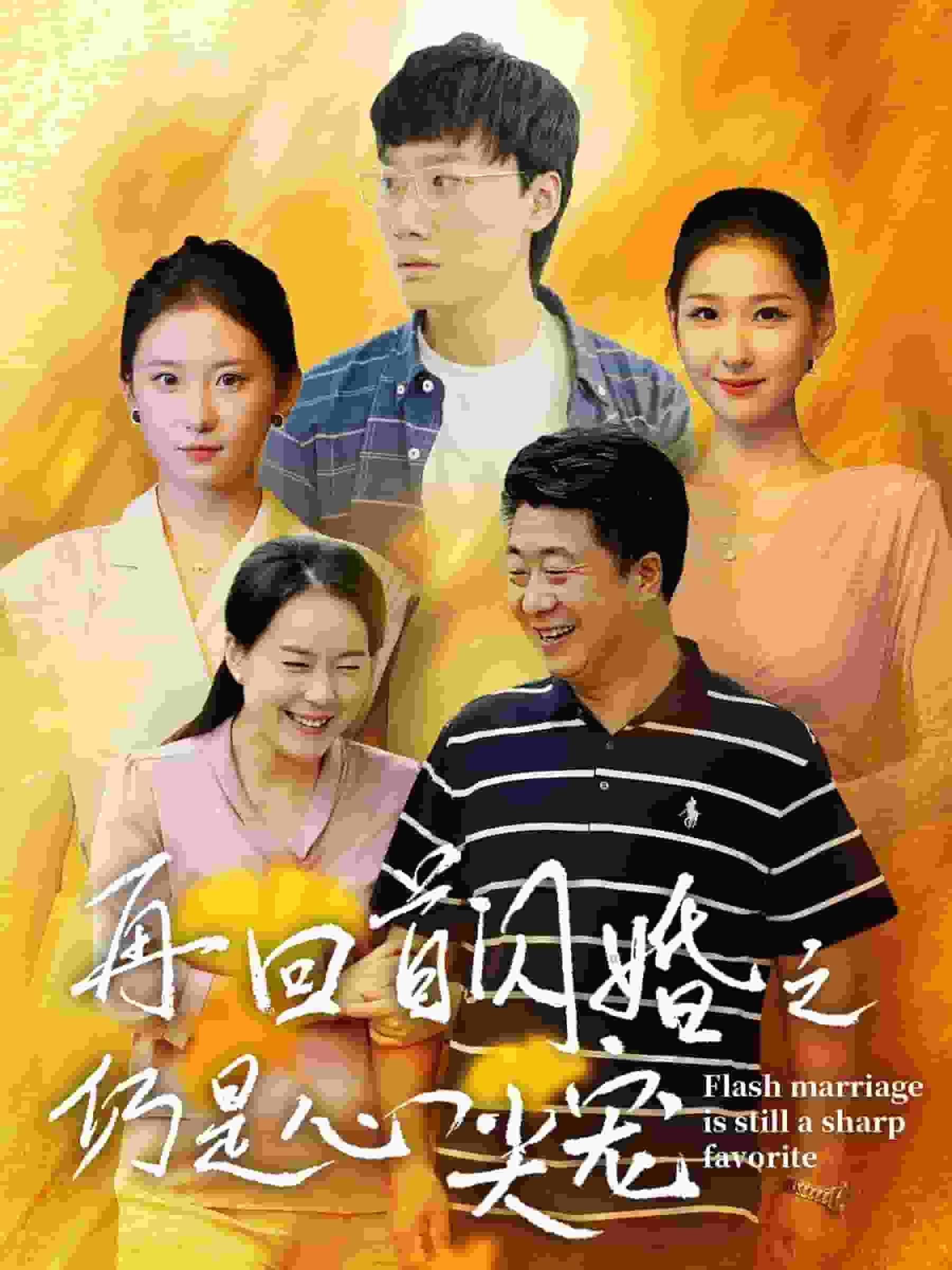 再回首闪婚之仍是心尖宠海报图