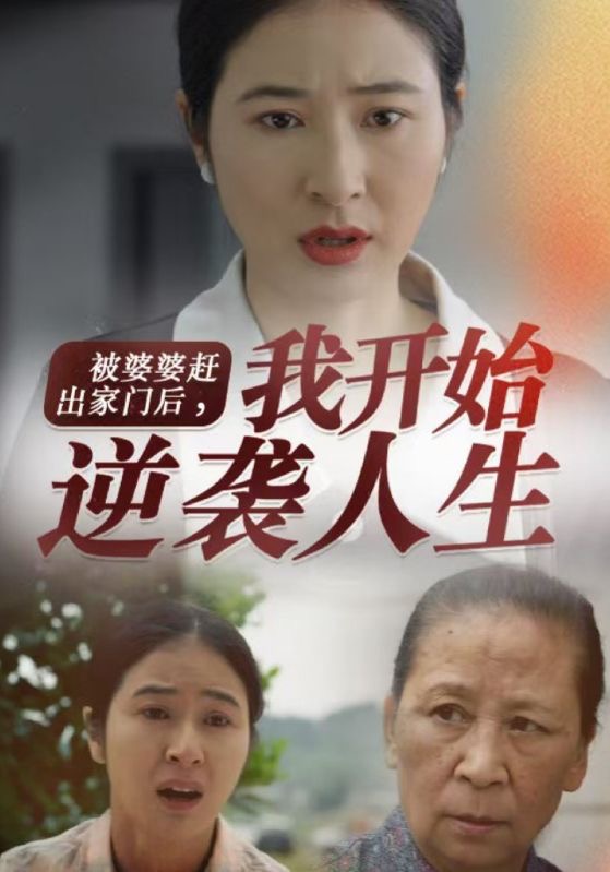 被婆婆赶出家门后我开始逆袭人生海报图