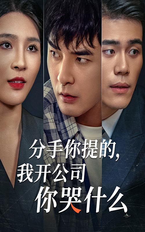 分手你提的，我开公司你哭什么海报图
