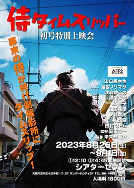 穿越武士海报图