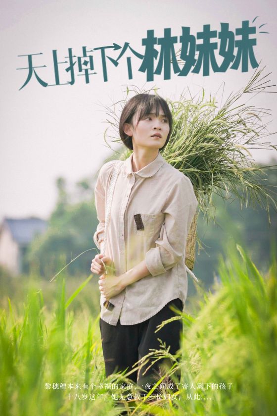 天上掉下个林妹妹海报图
