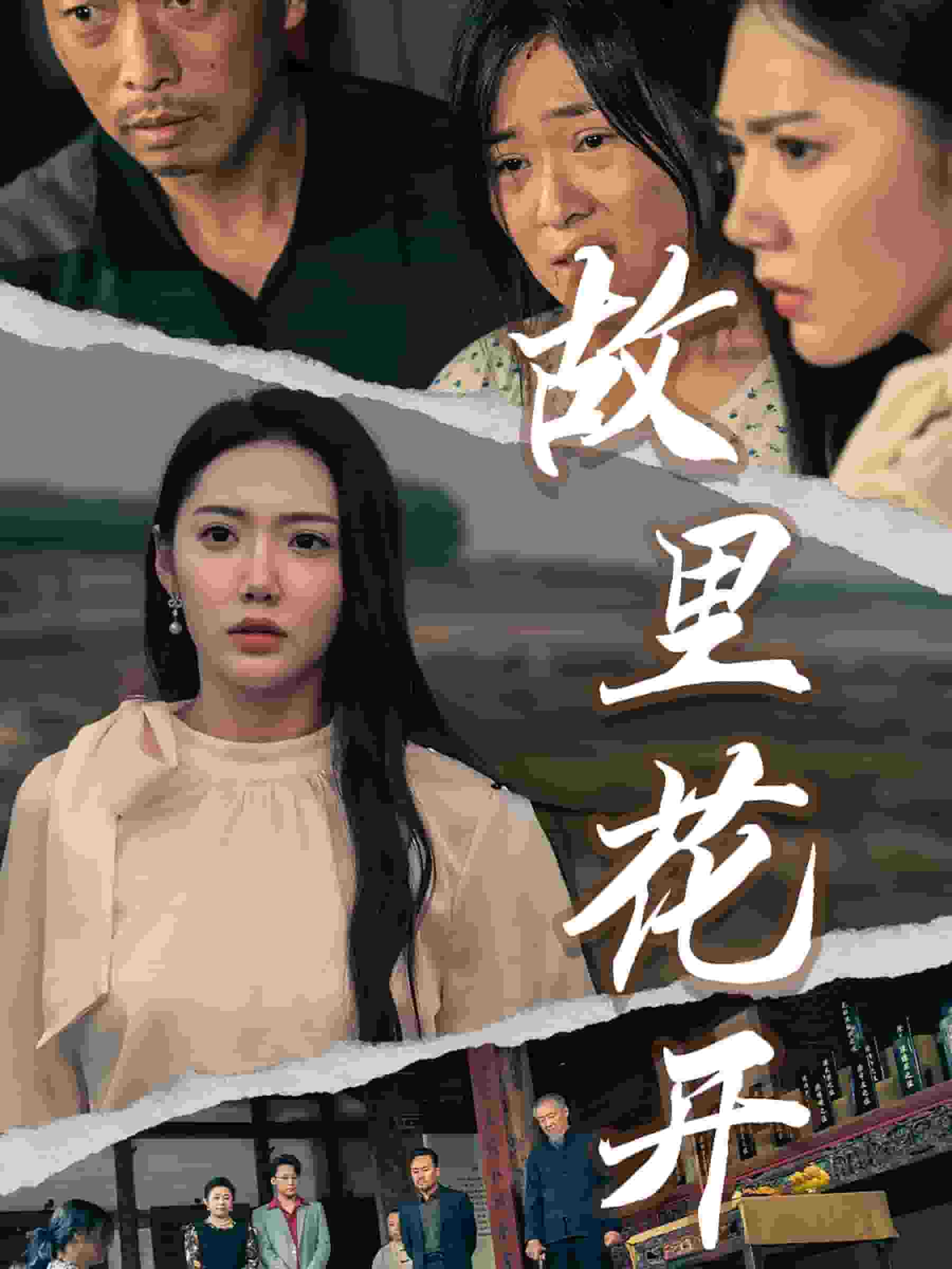 故里花开海报图