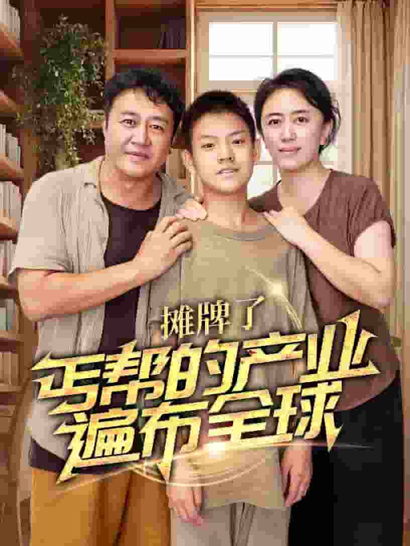 摊牌了，丐帮的产业遍布全球海报图