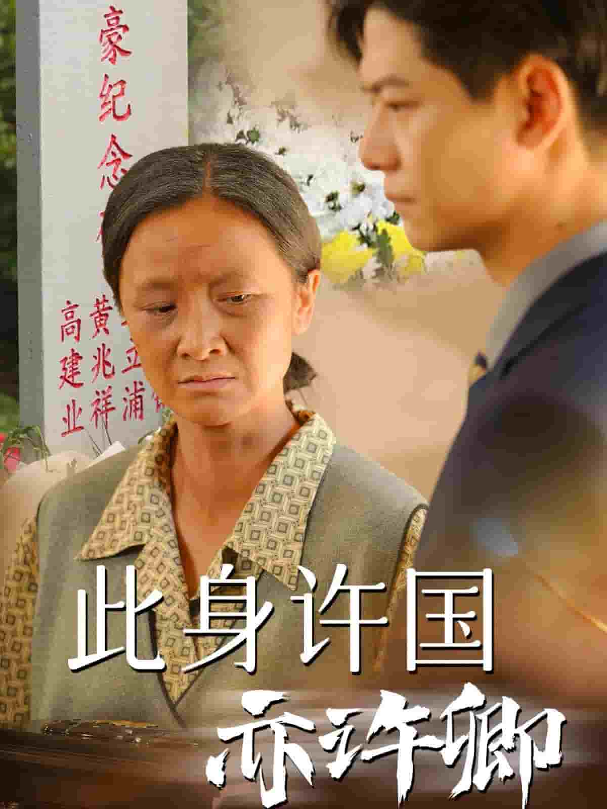 此身许国亦许卿海报图