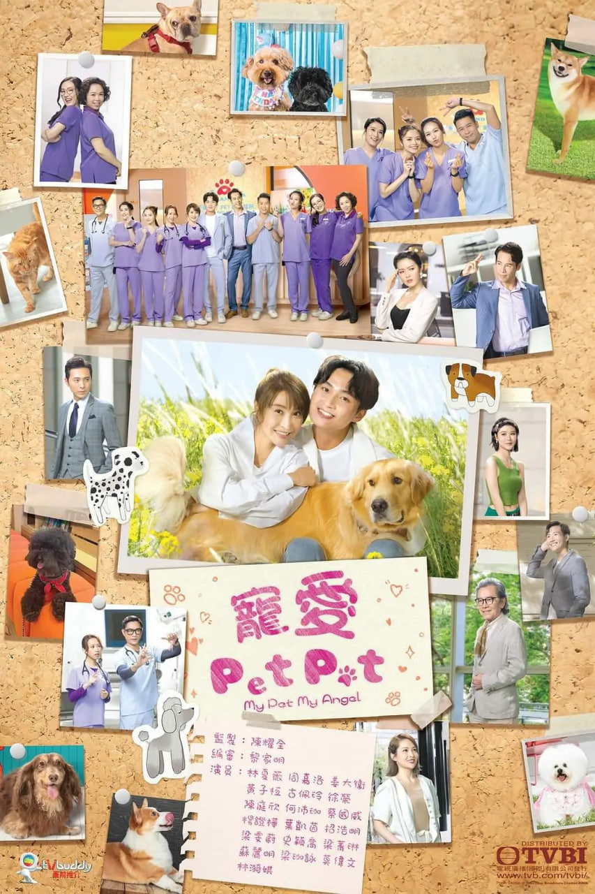 宠爱Pet Pet封面图