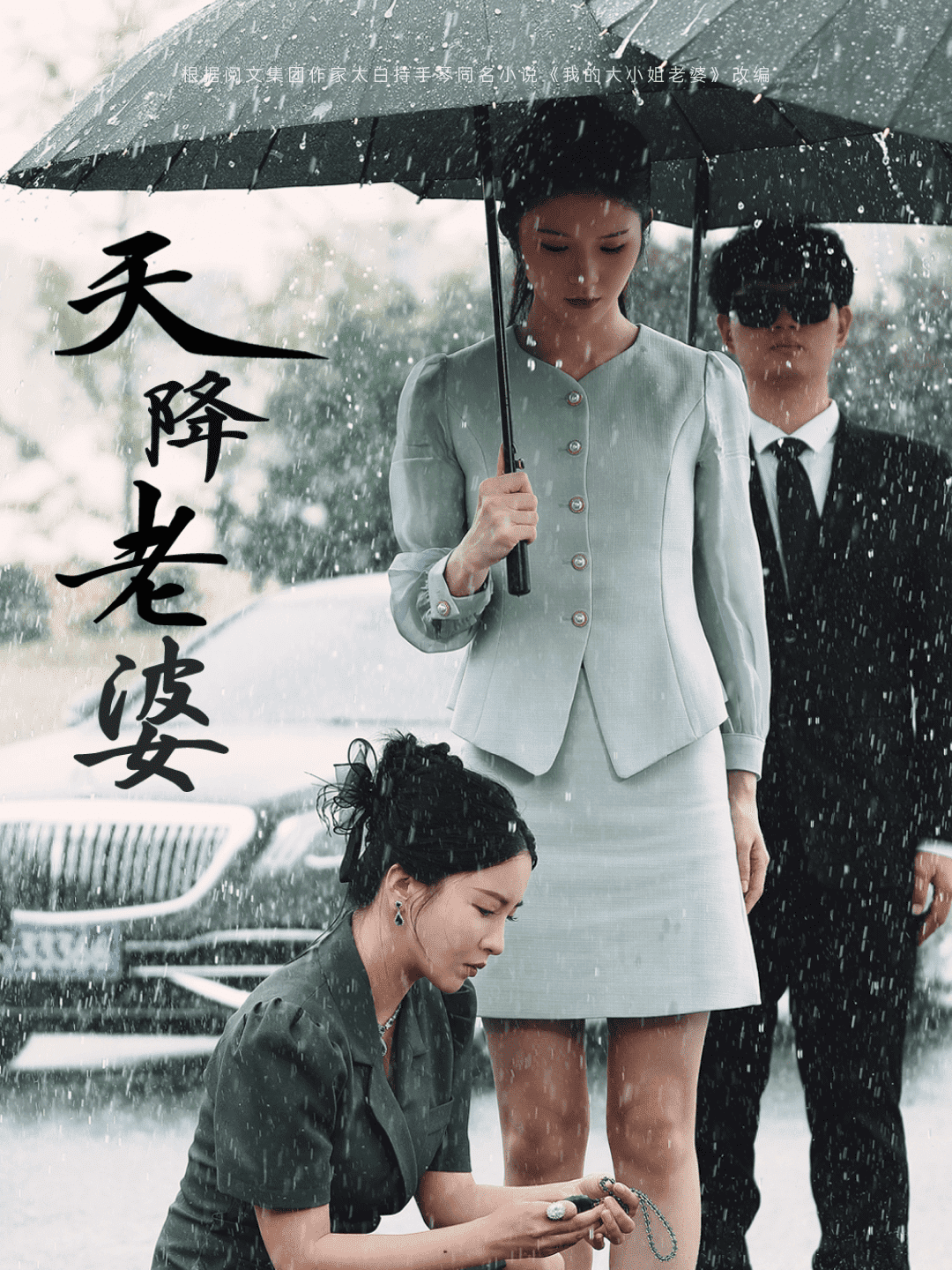 天降老婆海报图