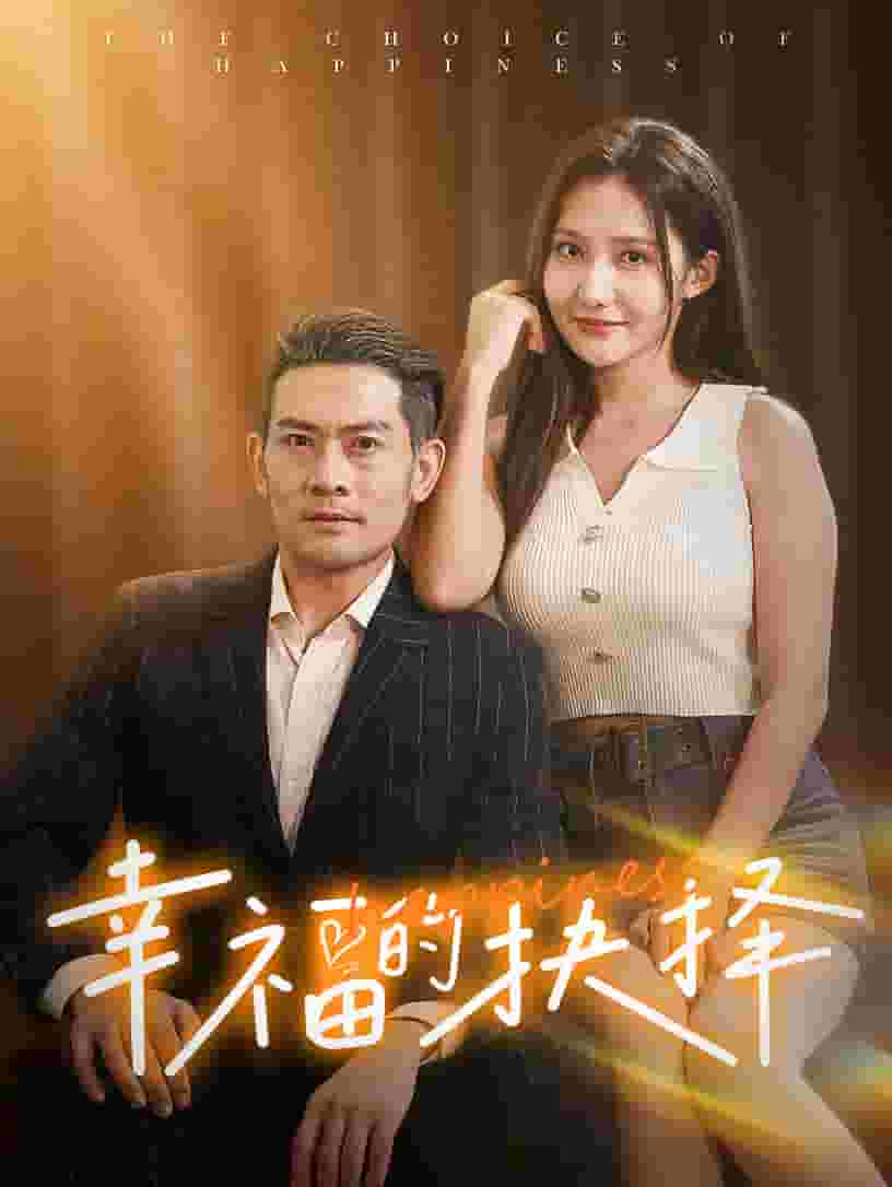 幸福的抉择海报图