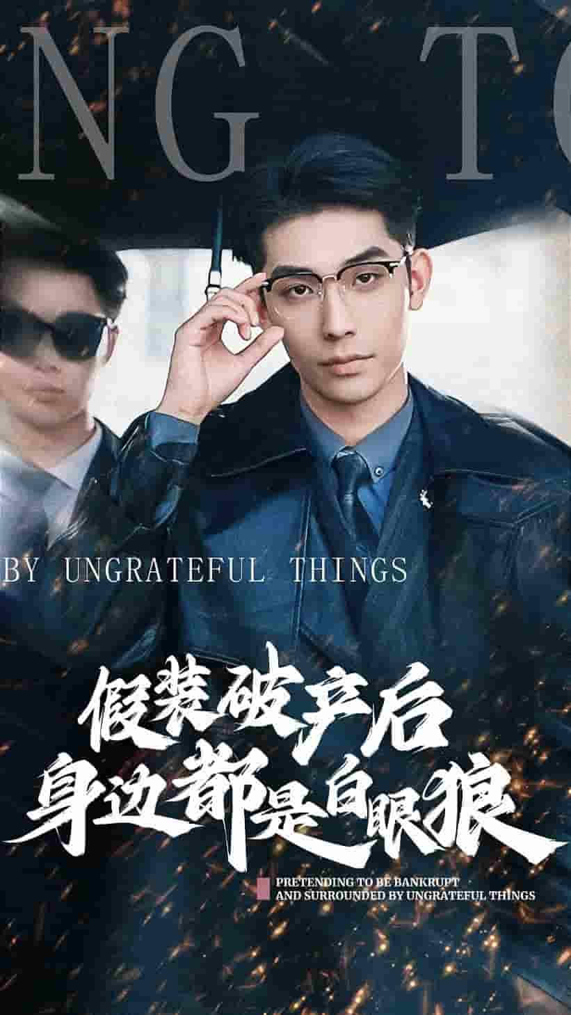 假装破产后发现身边都是白眼狼海报图