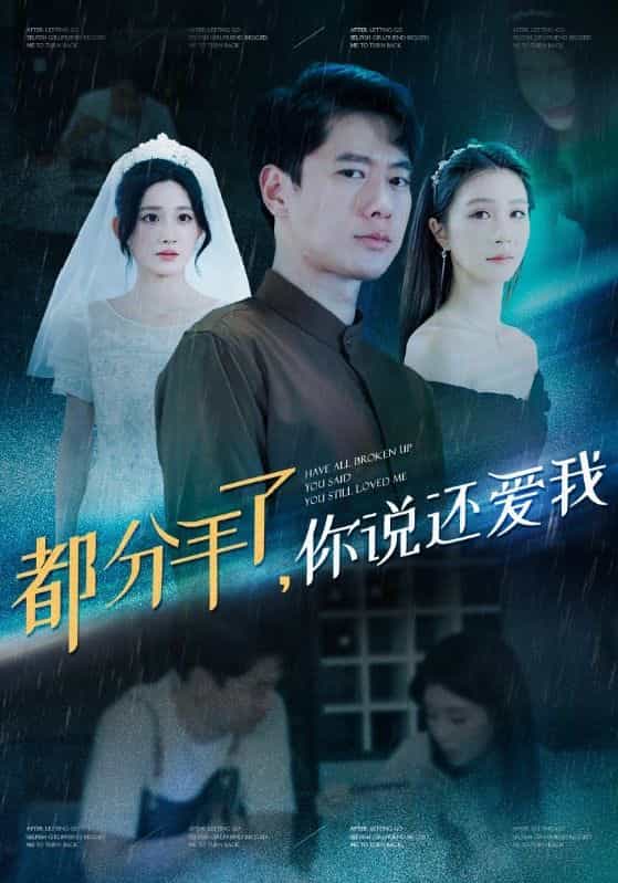 都分手了你说还爱我海报图