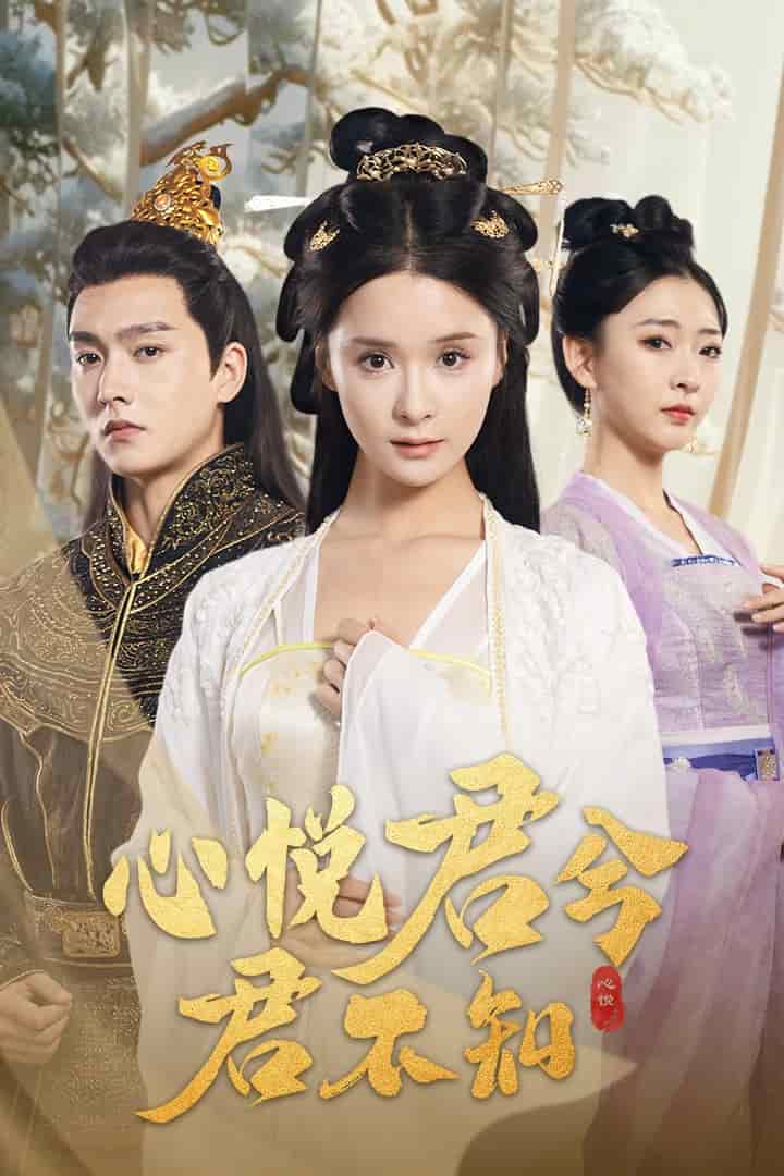心悦君兮君不知海报图