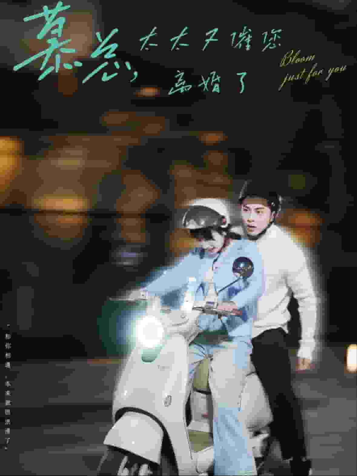 慕总太太又催您离婚了海报图