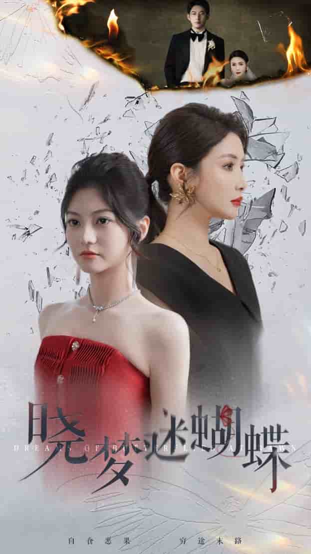 晓梦迷蝴蝶海报图