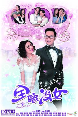 全职没女封面图
