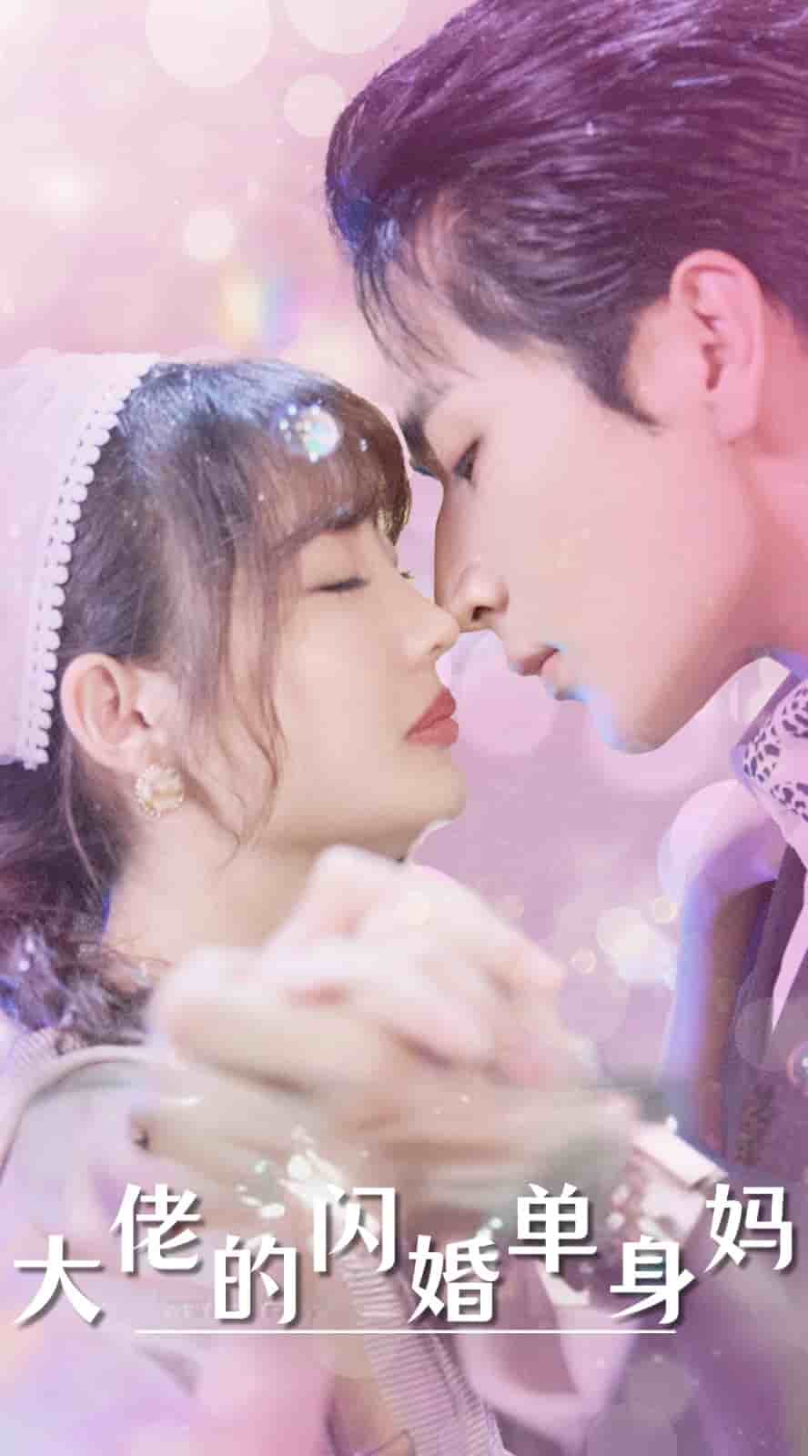 大佬的闪婚单身妈海报图